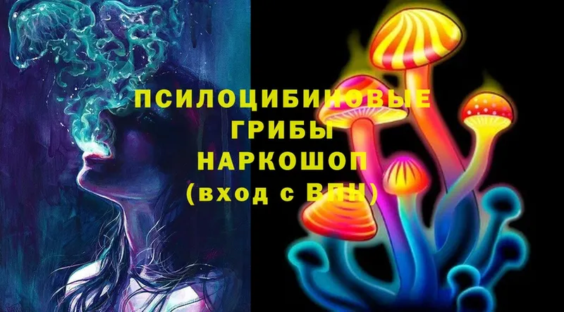 Псилоцибиновые грибы Psilocybe Котельники